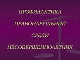 Профилактика правонарушений среди несовершеннолетних.